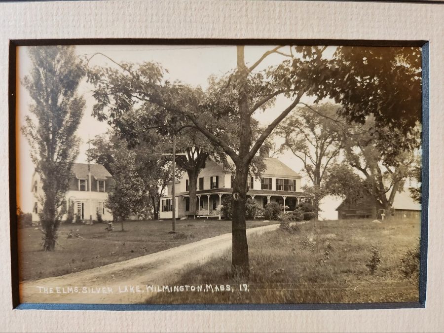 Historic photograph captioned The Elms, Silver Lake, Wilmington, Mass., showing the house behind a row of elms